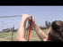 Bownet Soccer Goal 1.8m x 3.6m (6' x 12')